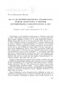 Da li je Nummulostegina velebitana Schub. identična s vrstom Eoverbeekina paklenicensis n. sp.?