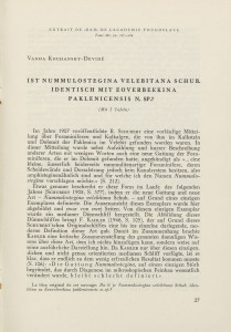 Ist Numulostegina velebitana Schub. identisch mit Eoverbeekina paklenicensis N. Sp.?