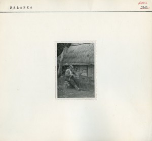Folklorna građa sa Zrmanje, 1957: Kazivač Mileša Ćuk plete koš pred pojatom