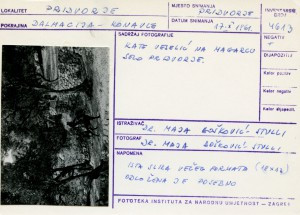 Folklorna građa iz Konavala 2, 1961.: Kate Veselić na magarcu, selo Pridvorje.